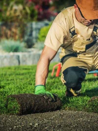 Gardening and Landscaping
